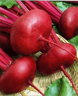 MYLAWN Beetroot Seeds, chukandar Ke Beej Seed