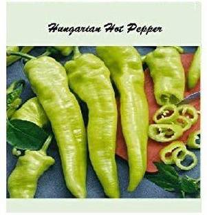 VibeX ® RXI-787 Hungarian Wax Hot Pepper Seed
