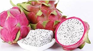 wequality F1 Dragon fruit seeds/Dragon fruit seed 19 Seed