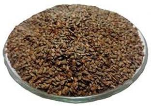 WILD FOREST TALMKHANA Seed