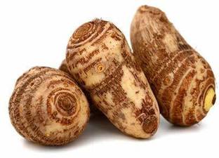 Aywal Taro Root / Arbi / Dasheen / Eddoes Vegetable Bulbs Home Outdoor Gardening Bulbs Seed