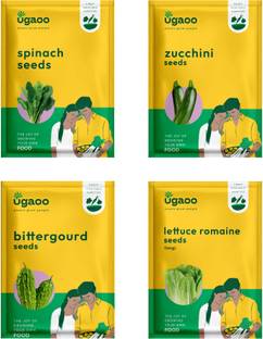 UGAOO Vegetable Seeds - Spinach, Zucchini, Bittergourd (Long), Lettuce romaine (Long) Seed