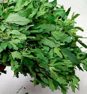 Aywal Bathua Saag(बथुआ साग) Vegetable Seed