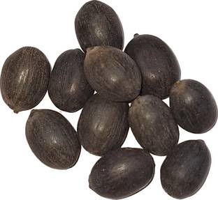 AA ENTERPRISES Kamal Gatta Seed
