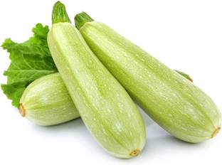 CYBEXIS ATS-33 - Zucchini Squash - (675 Seeds) Seed