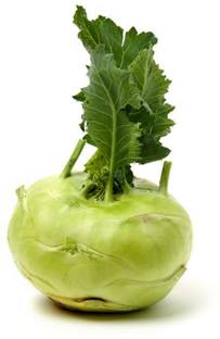 KANAYA Knol Khol Vegetable Fresh Hybrid Seed
