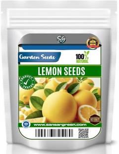Sansar Green Lemon Seeds for Gardening. (Pack of 11) Seed