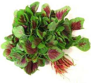 URRO Red Amaranth Vegetable Seed