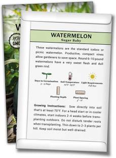 Biosnyg GUA-96 Sugar Baby Watermelon Seed-[200 Seeds] Seed
