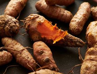 jui halder Kacha Haldi, Organic raw turmeric Seed