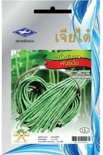 CYBEXIS Yard Long Bean (Thai Long Bean)800 Seeds Seed