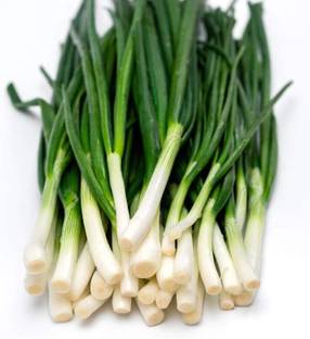 Qualtivate XXX-8A Chinese Chive for Planting Seed