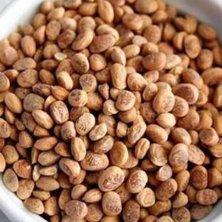BHARAT JADI BOOTI Chironji Dana - Charoli Dana - Chirauli Nut - Almondette Seeds - Priyala - Seed