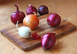 VibeX LXI-73 - Onion Rainbow Mix - (1500 Seeds) Seed