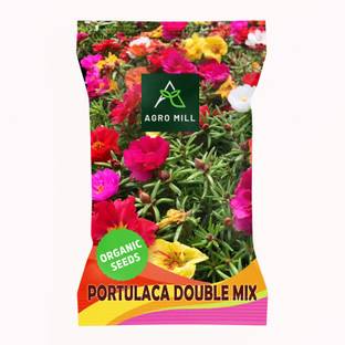 AGRO MILL PORTULACA/GRANDIFLORA/MOSS ROSE/SUN ROSE/ROCK ROSE MULTIFLORA DOUBLE MIX FLOWER Seed