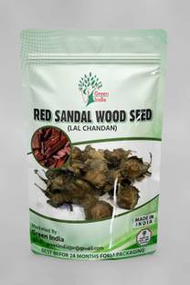Green India Red Sandalwood Seeds, Rakta Chandan Tree Seed (500 g) Seed