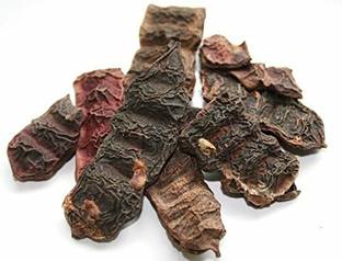 Urancia Shikekai-100 Gram Seed