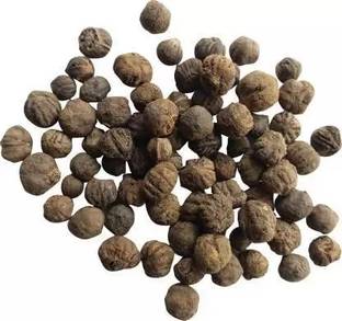 grassland GRASSLAND TEAK WOOD / TECTONA GRANDIS / SAGWAN TREE SEEDS PACK OF 300 Seed