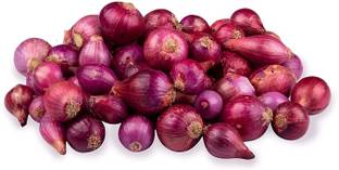 Mozette Organic onion Seed