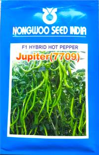 NONGWOO 10g, hybrid chilli seeds,Mirchi beej, Hybrid chilli seeds Seed