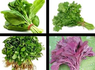 DRoz Green Spinach-Palak, Coriander-Dhaniya, Fenugreek-Methi & Red Seed