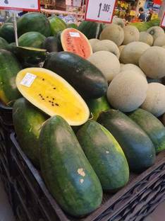 Qualtivate PUA-8A Yellow watermelon yellow flesh Seed