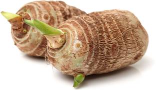 KANAYA Arbi Taro root Outdoor Gardening vegetable Bulbs Seed