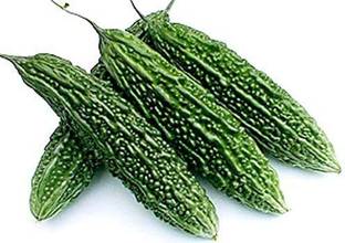 KANAYA Bitter Gourd/Karela/Bitter Melon Gardebnibg Vegetable Seed