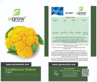 JD AGRO GOLDEN FLORETS YELLOW CAULIFLOWER DELIGHT Seed