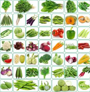 Upjau Seeds 45 Variety (3500+ seeds) Of Vegetable Seeds Seed