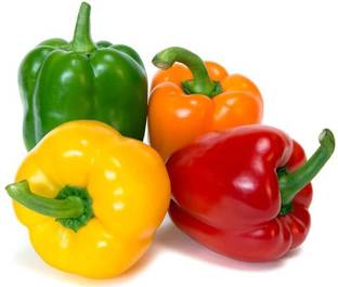 Foscos Capsicum(Shimla Mirch) Seed