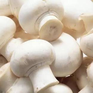 Aro Mushroom Seed