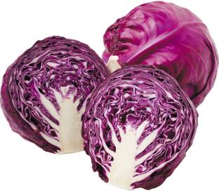ALPINE HYBRIDE SEEDS Red Cabbage, Bandha Kobi, Band Gobhi Seed