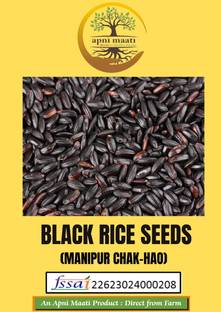 Apni Maati Apni Maati Black Paddy (Manipuri Chak-Hao) Seed Seed