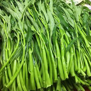 CYBEXIS Pak-Boong Morning Glory Water Spinach-500 Seeds Seed