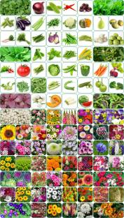 Aero Seeds 100 variety(50 flower and 50 vegetable)seeds combo pack with instruction manual. Seed