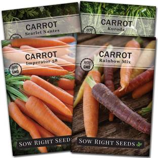 CYBEXIS TLX-92 - Rainbow Nantes Imperator and Kuroda Carrot - (250 Seeds) Seed