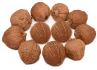 SHIVAKARI LAGHU NARIYAL Seed