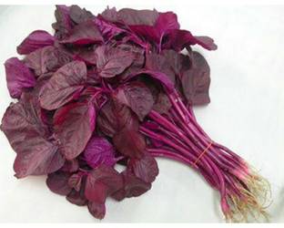 SREE Lal Saag/ Red Spinach, Red Amaranthus Seed Seed
