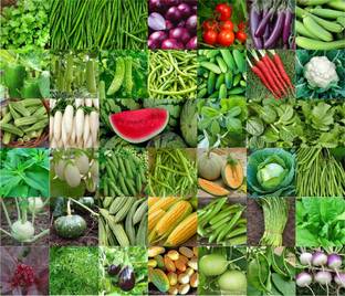 Agnico Agnico 40 Variety Of Vegetable Seeds Combo Pack With Instruction Manual.… Seed