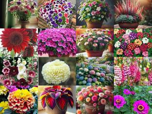 NooElec Seeds India 1150+ SEEDS-16 Variety of Flower Seeds-All Seasons Flower Seed