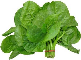 VibeX LX-81 - Malabar Spinach - (750 Seeds) Seed