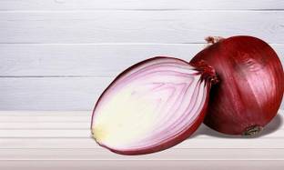CYBEXIS TLX-7 - Onion Red Baron Neutral Giant - (1500 Seeds) Seed