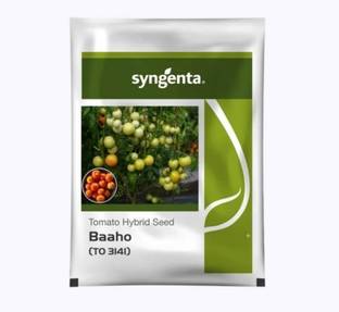 syngenta Baaho tomato seeds, Hybrid Tomato seed, tomato seeds, vagetable seeds Seed