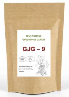 Green World TAG-24 Groundnut Seeds/Mungfali Beej Farming Researched Seeds 500 Gms Seed