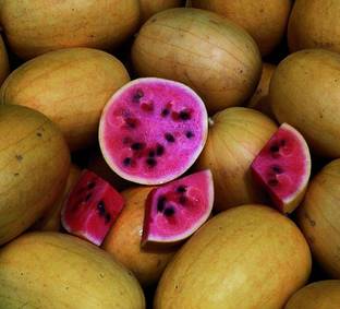 Qualtivate XXX-2A Golden Midget Watermelon-Pink Flesh Seed