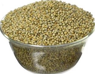PARAM 1kg, bajra long animal grass seeds testy and green grass seeds Seed