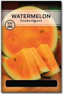 Qualtivate RES-1A Orange Tendersweet Watermelon Seed Seed