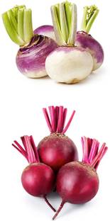 CYBEXIS Combo Beat root (Chukunder) & Turnip (shuljam) Seed