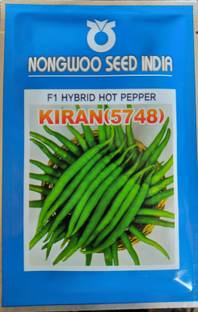 HYBRID 10g, highest yield chilli seeds ( yield 15-17 Ton/acre) virus free seeds Seed